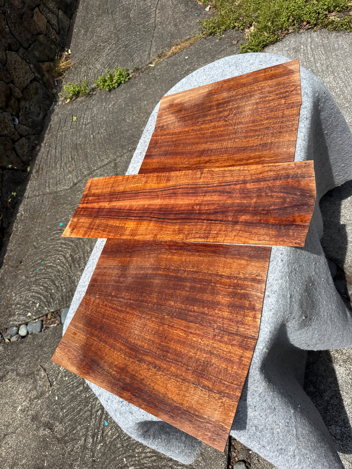 Curly Koa 6 piece Baritone Ukulele sets freshly