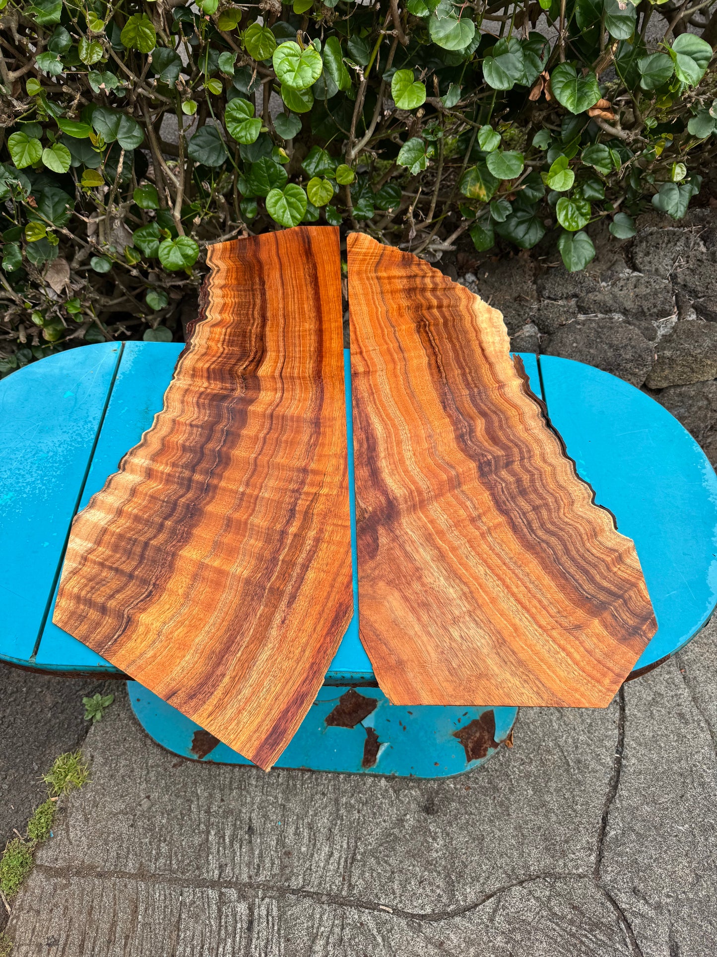 Curly Koa 4mmx28”x9-13”