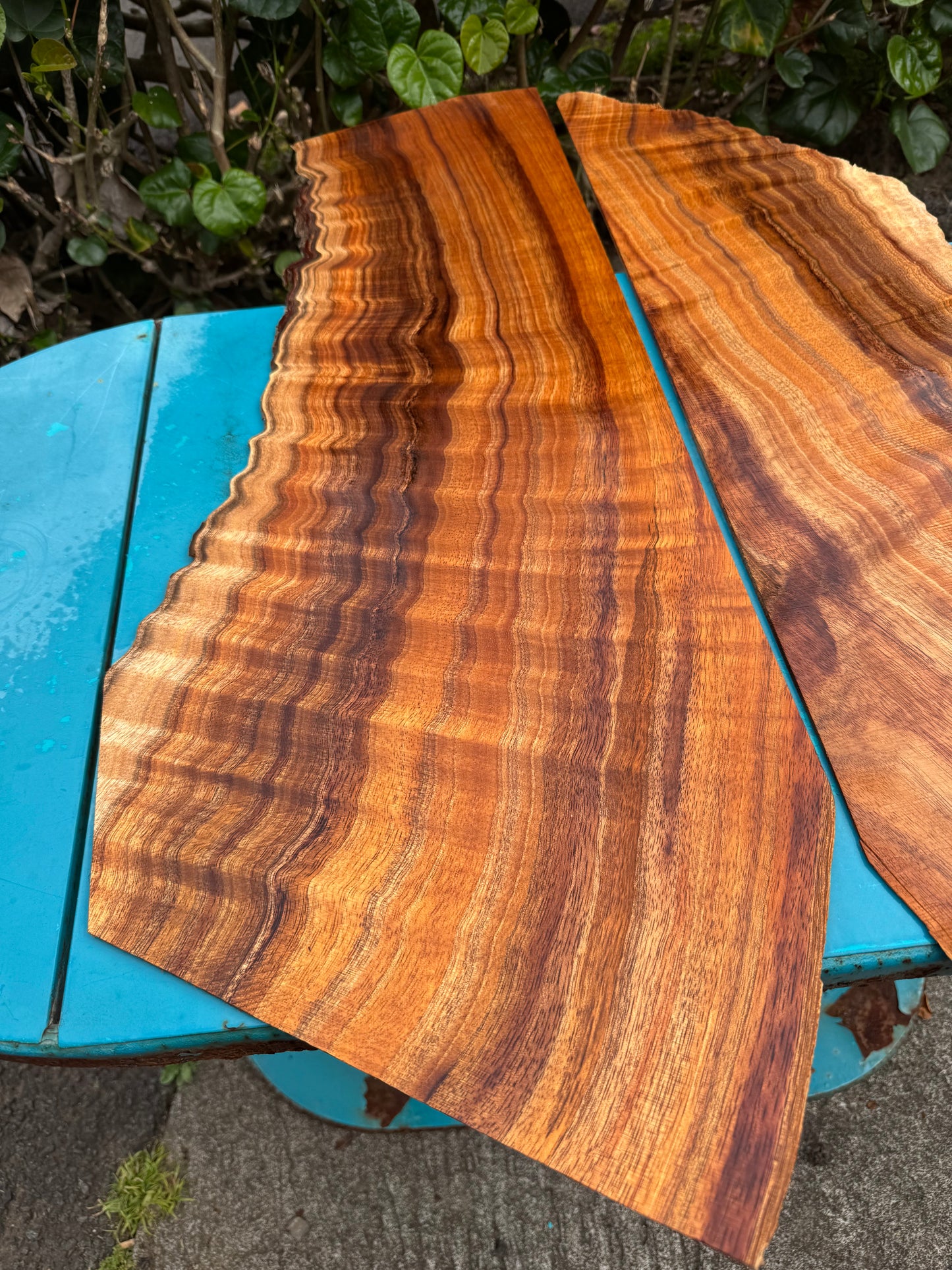 Curly Koa 4mmx28”x9-13”