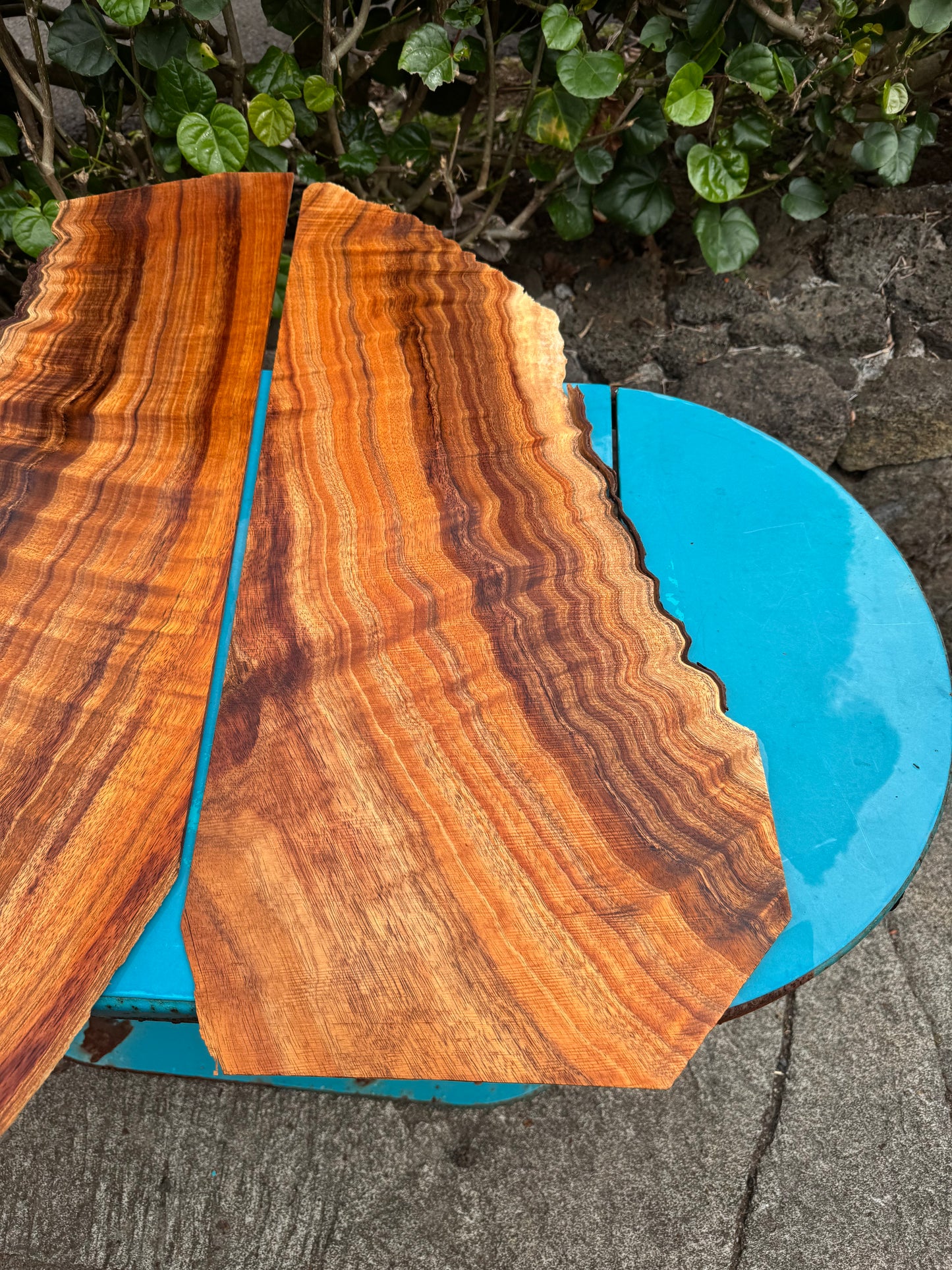 Curly Koa 4mmx28”x9-13”