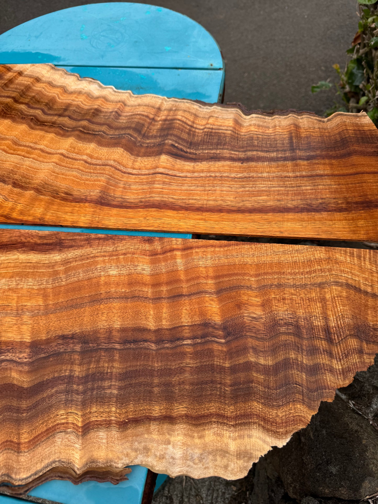 Curly Koa 4mmx28”x9-13”