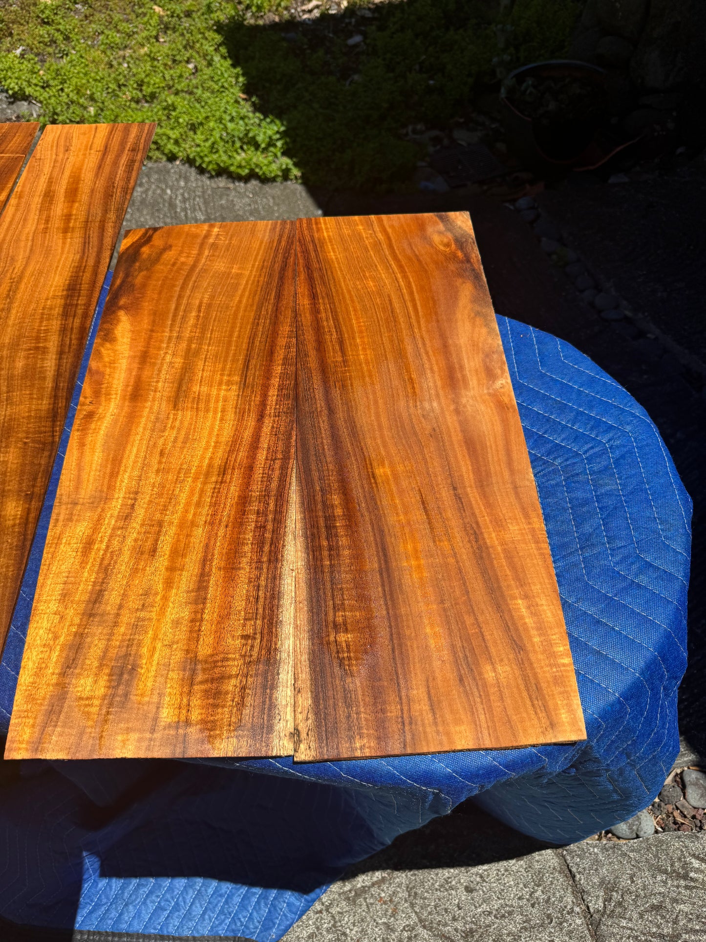 Curly Koa Jumbo Guitar 4 piece set