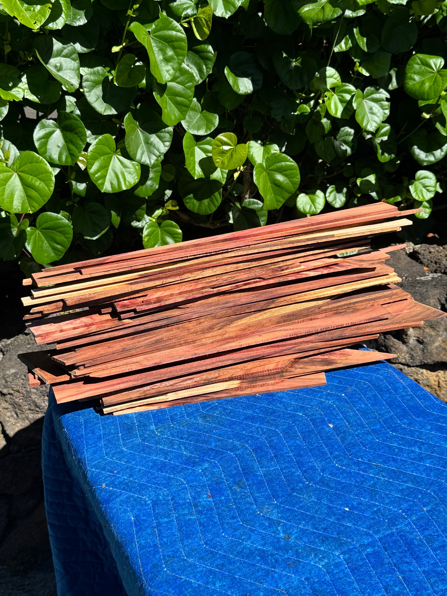 45 pieces of reclaimed Milo wood 4mm thin 9-24” long by 1/2-5.5” wide