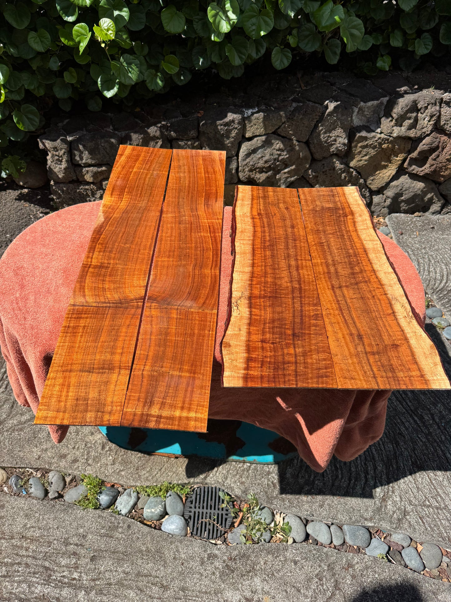 Curly Koa 4 piece Jumbo Guitar set