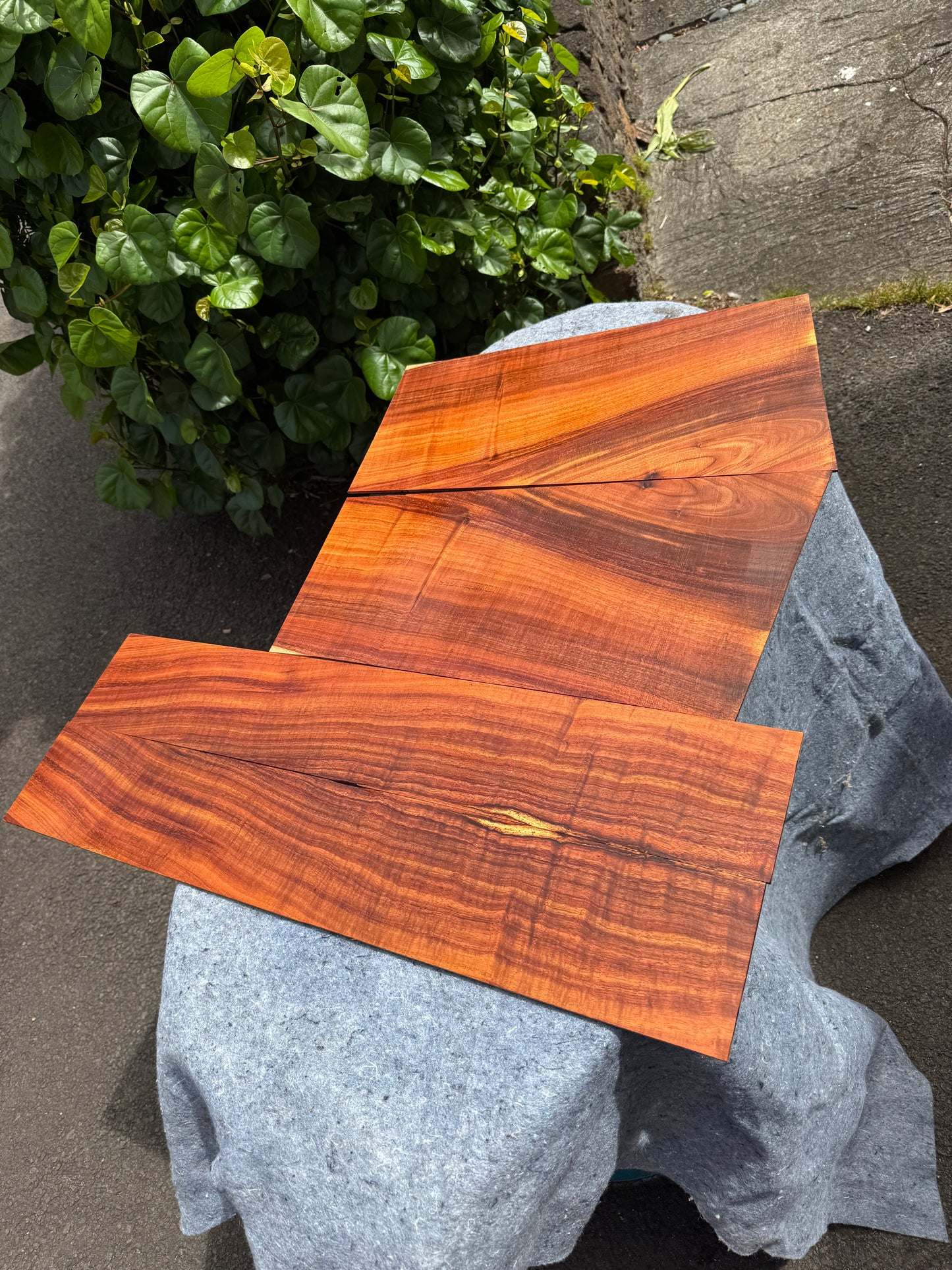 2A Koa Jumbo Guitar 4 piece set