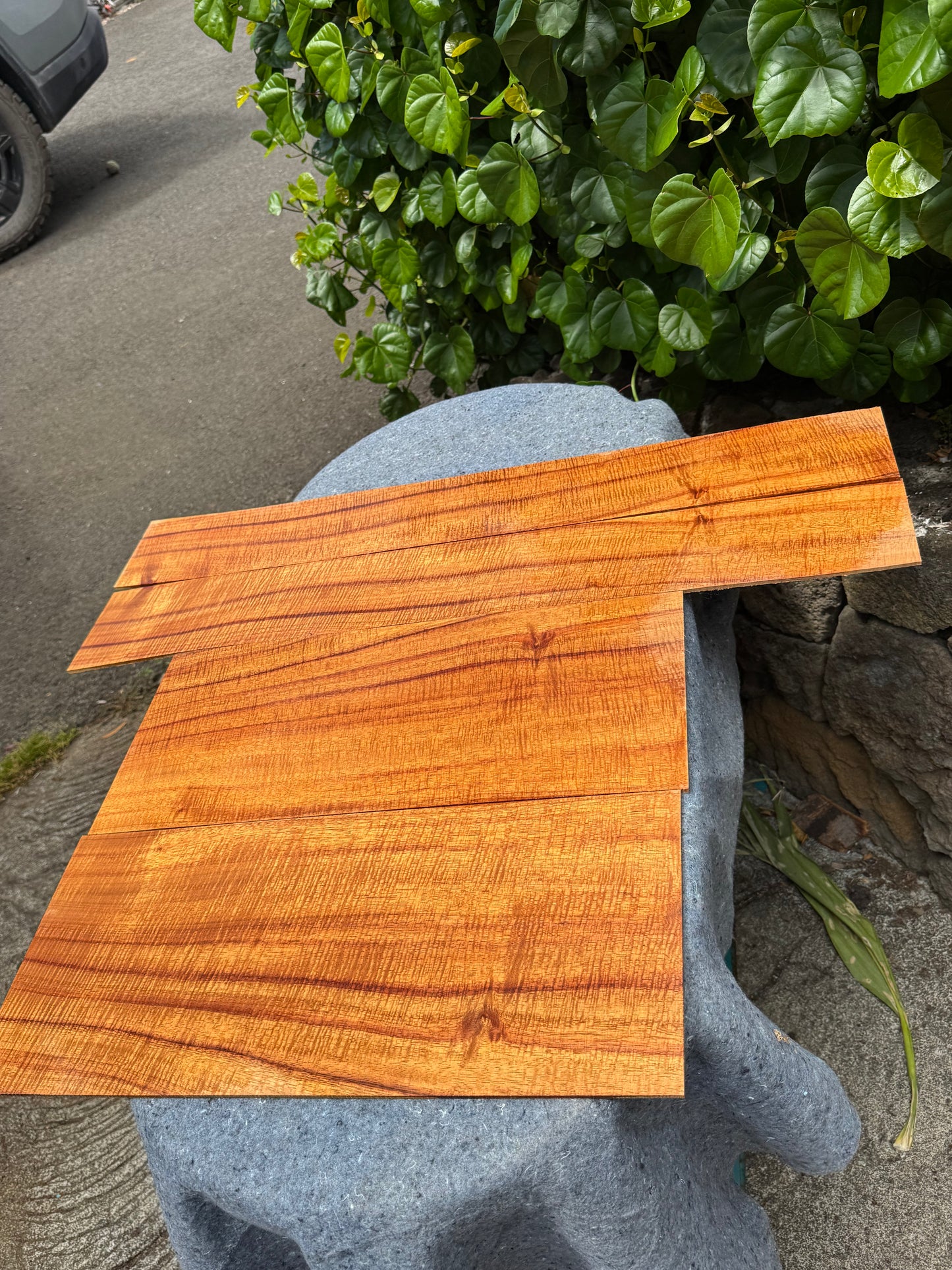 4A Tiger Lily Curly Koa jumbo Guitar 4 piece set