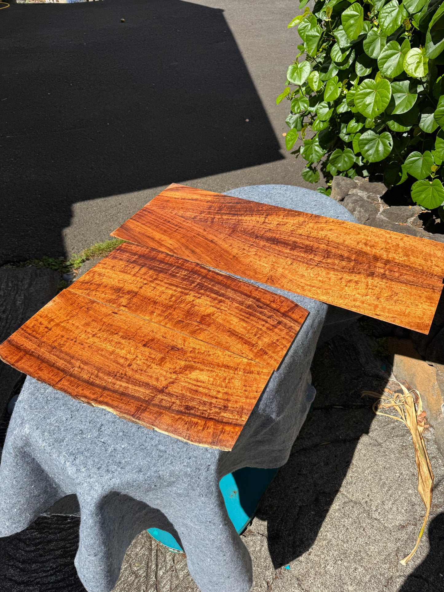 3A Curly Koa Jumbo Guitar 4 piece set