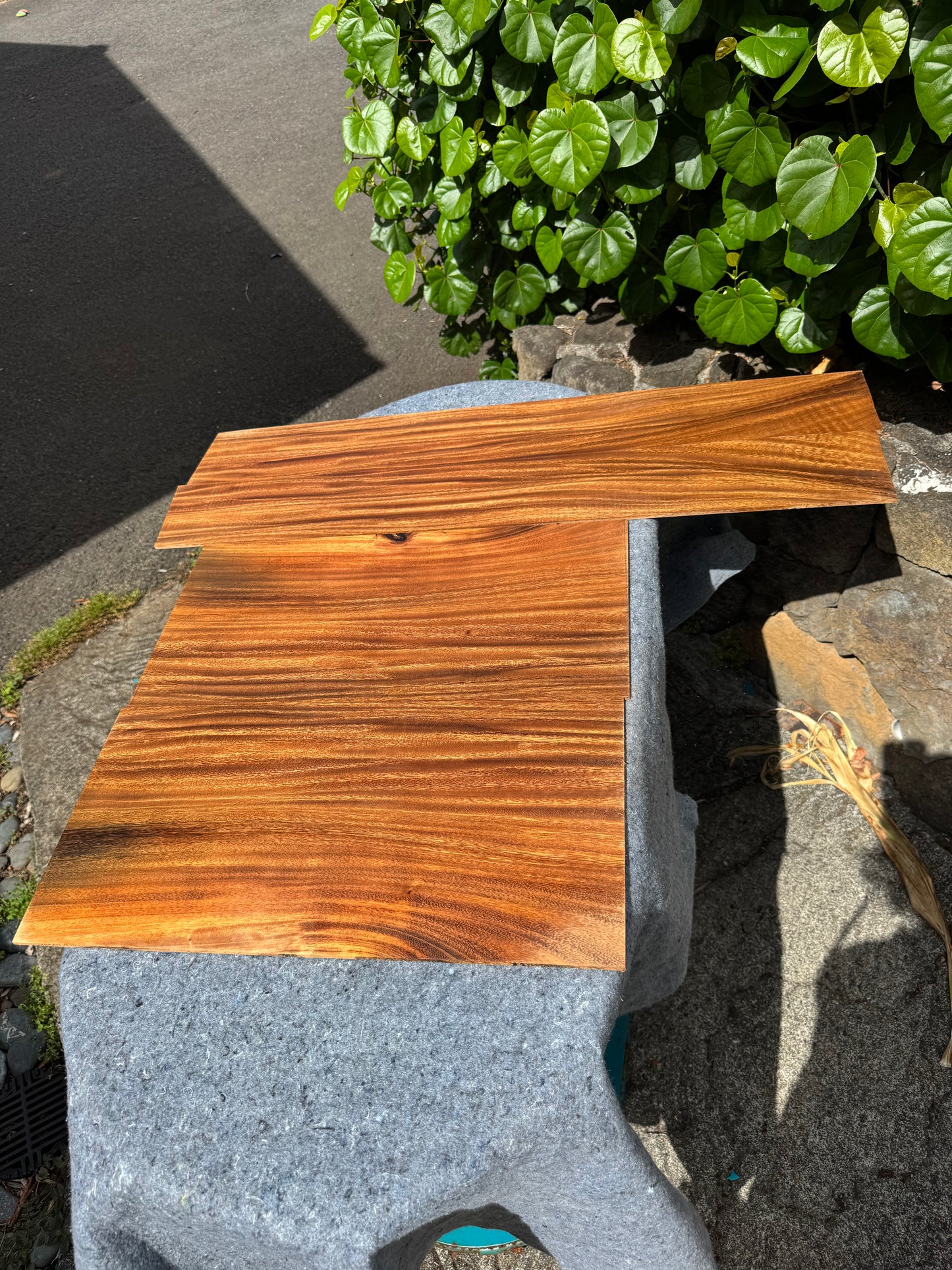 1A Koa Classical CI/000 Guitar 4 piece set