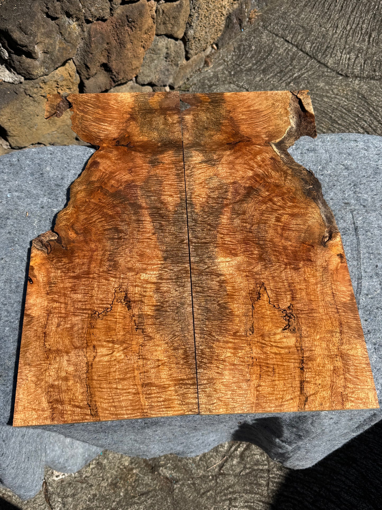 “The Cobain” Curly Mango Electric Guitar Carved Drop Top 2@23”x10”x7/16 (10mm)”