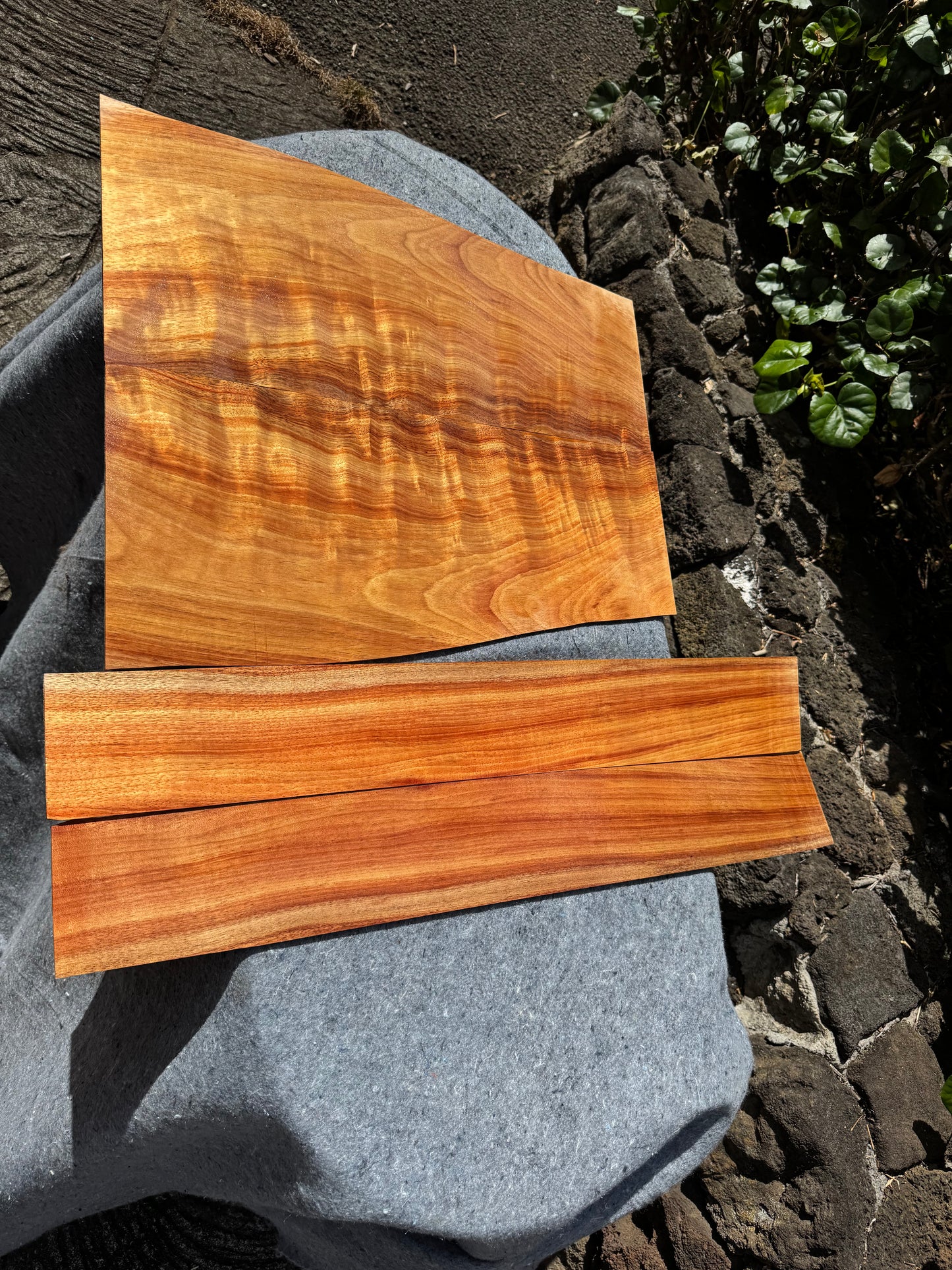 “The Livia” Premium Koa Classical CI/000 Guitar 4 piece set