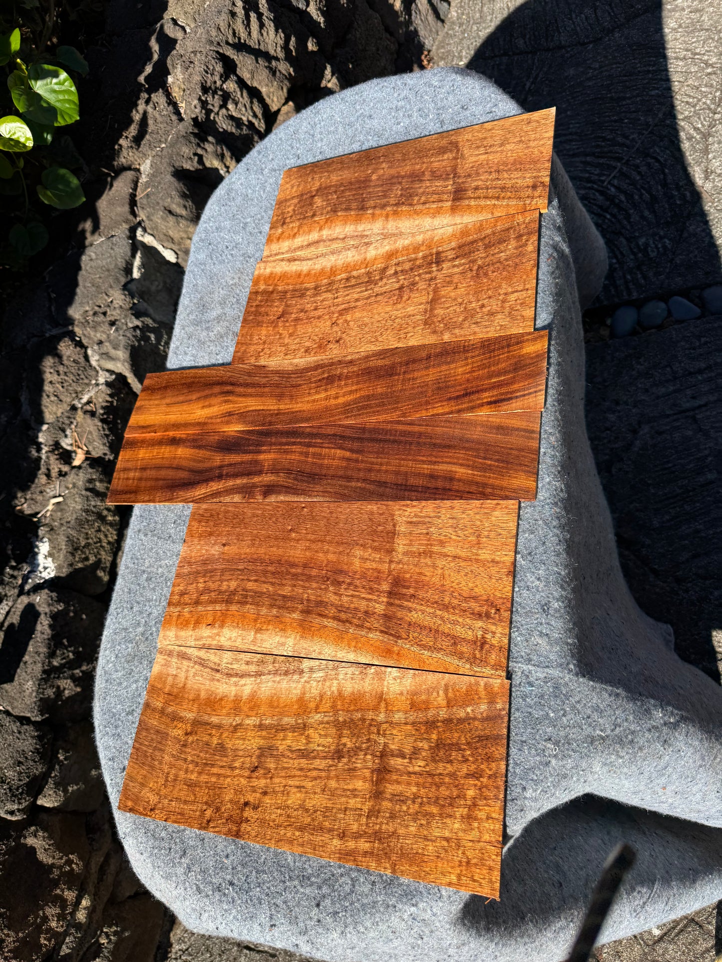 “The Charmaine” Premium Curly Koa 6 piece Concert Ukulele