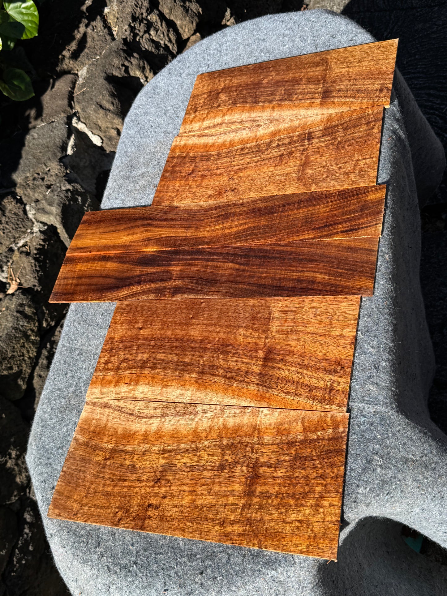 “The Charmaine” Premium Curly Koa 6 piece Concert Ukulele