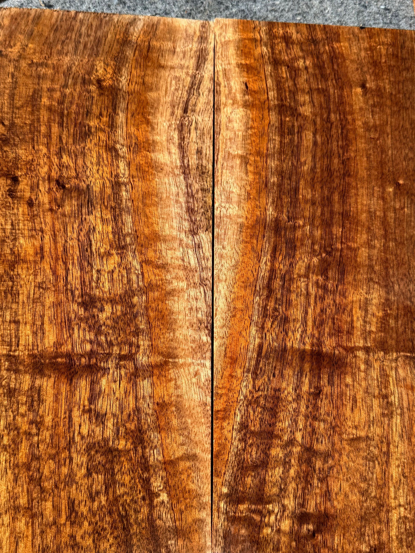 “The Charmaine” Premium Curly Koa 6 piece Concert Ukulele