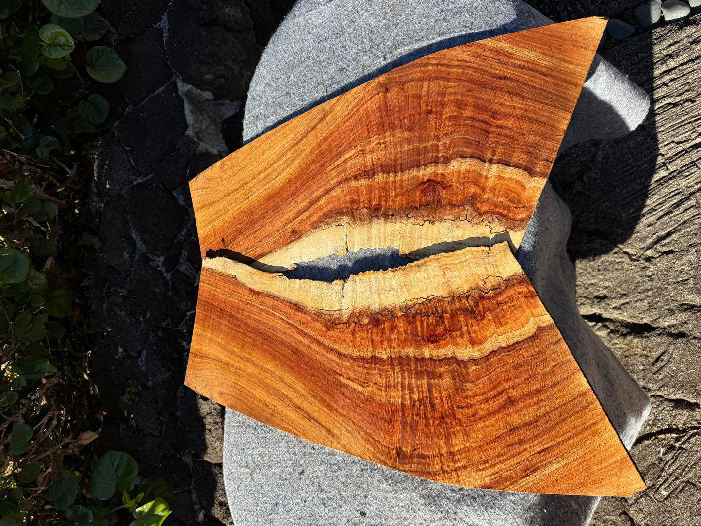 Premium Curly Koa 2 piece Guitar Tops