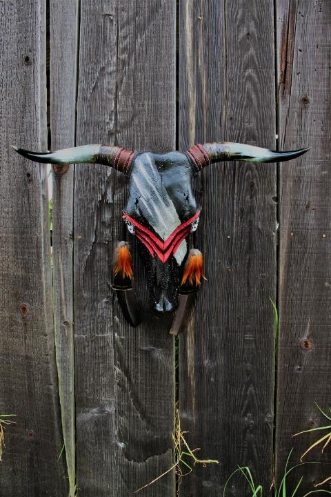 “Red Plume”-Hand painted Bull Skull - Black & Red