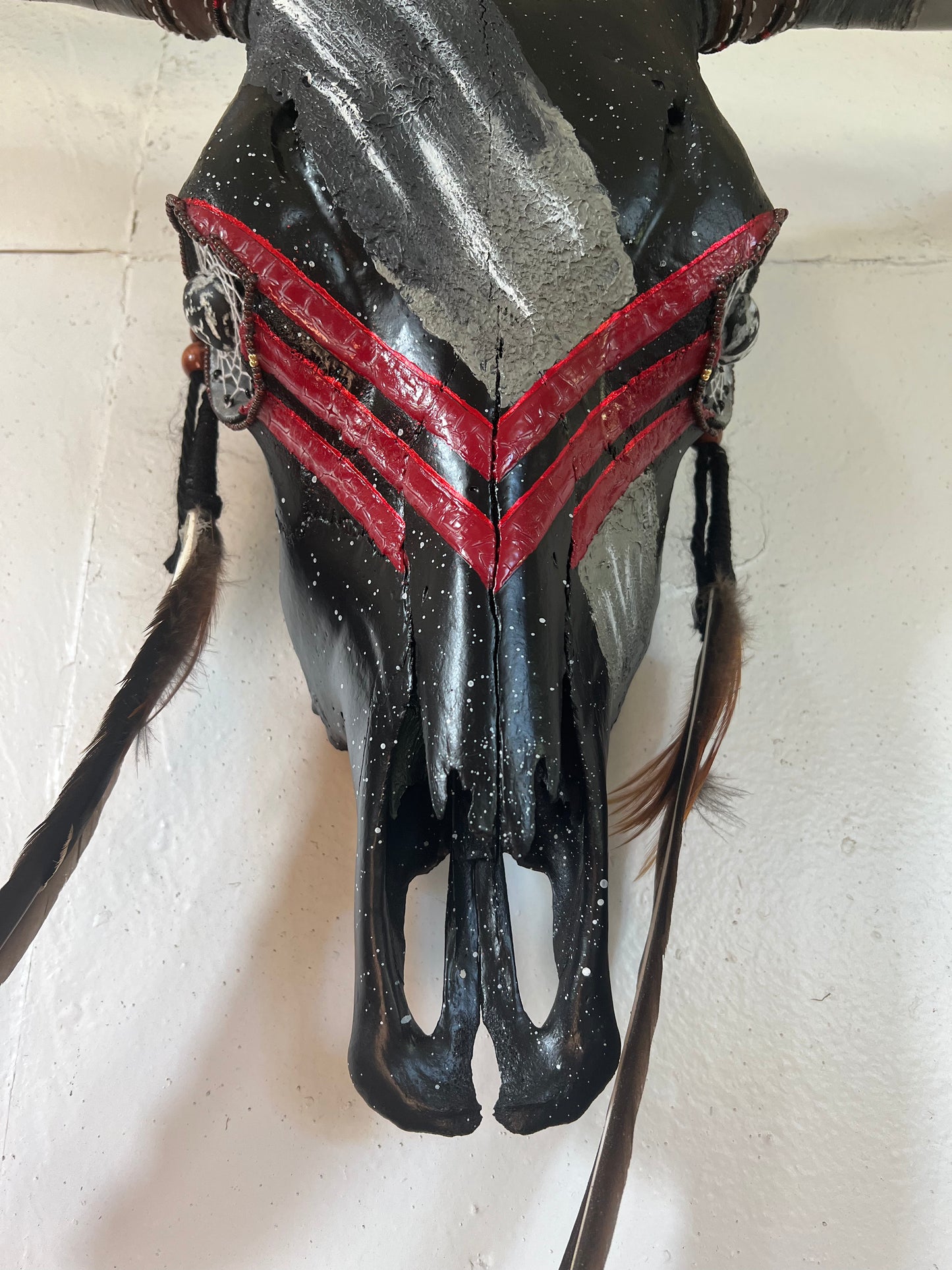 “Red Plume”-Hand painted Bull Skull - Black & Red