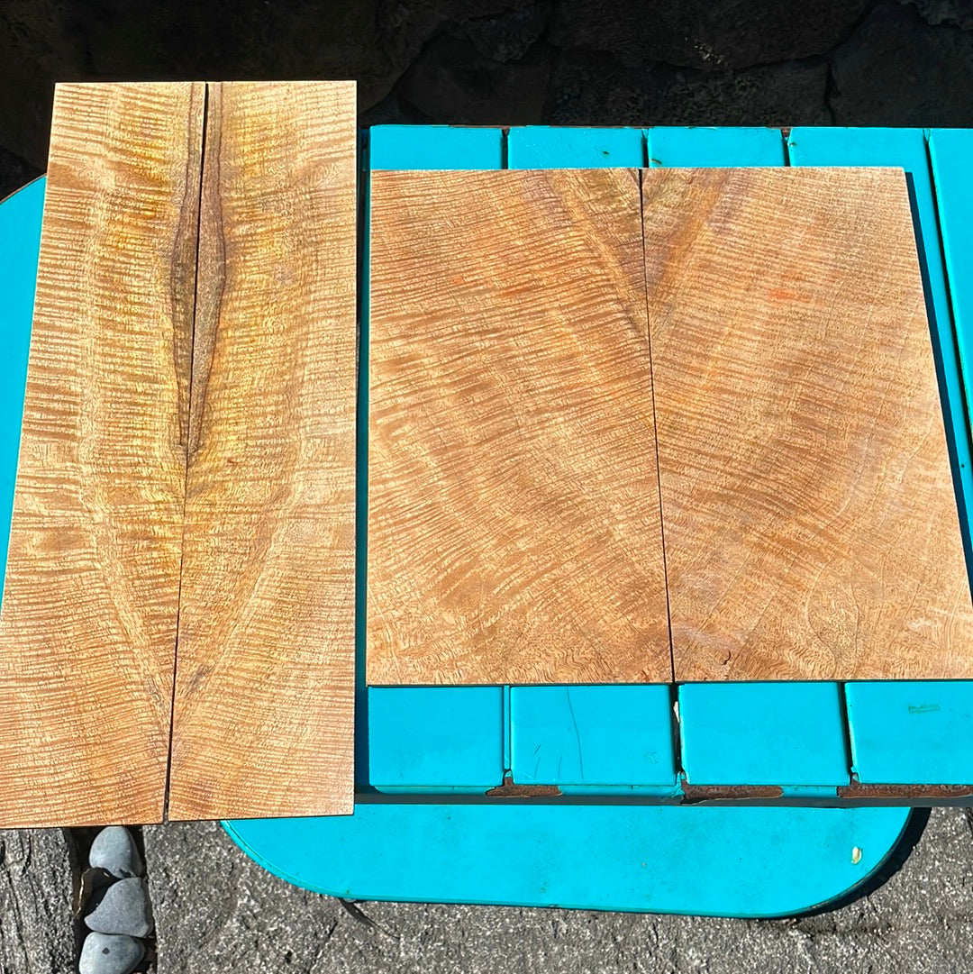 Curly Mango Tenor Ukulele set (4 pcs)