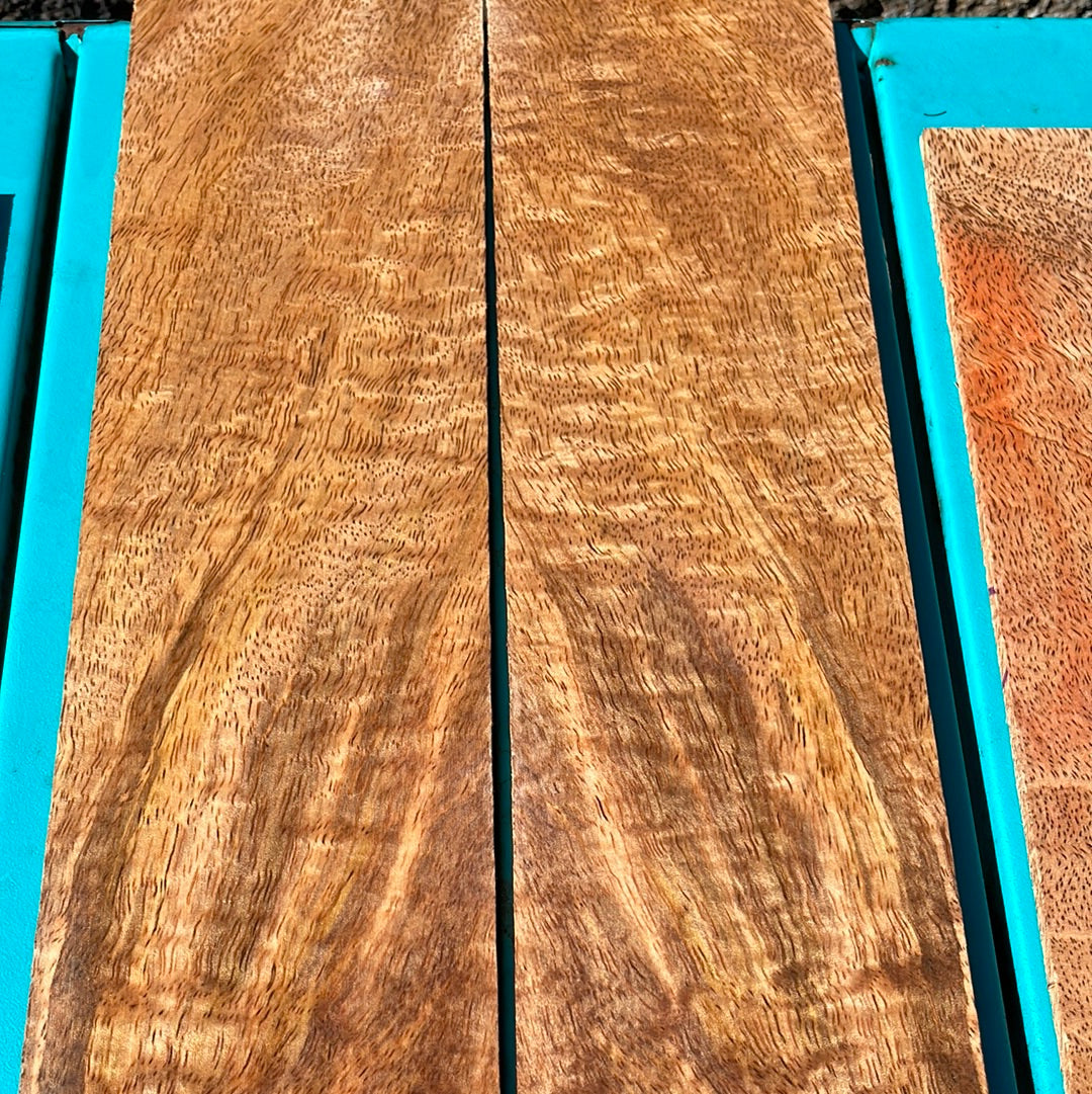 Curly Mango "Single Piece" Tenor Ukulele set (4 pcs)