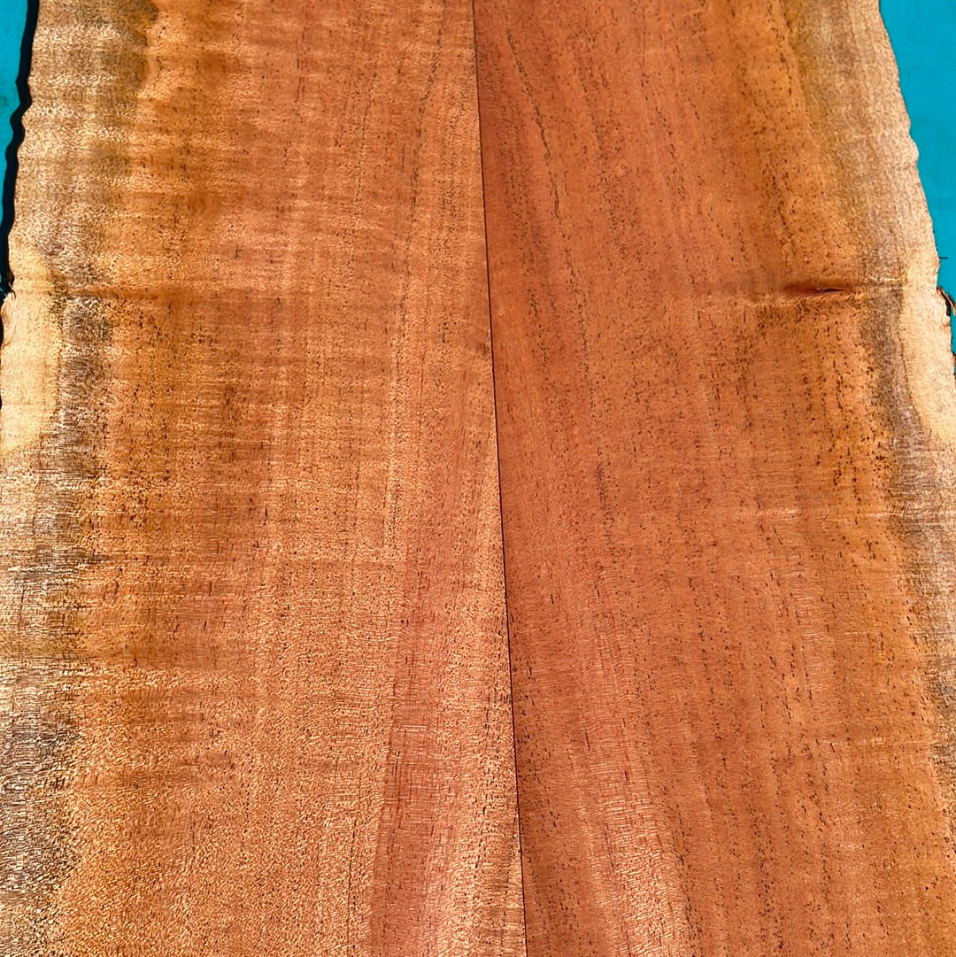 Curly Cuban Mahogany Tenor 6 pc Ukulele Set