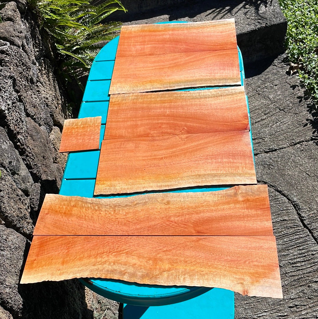 Curly Cuban Mahogany Tenor 6 pc Ukulele Set