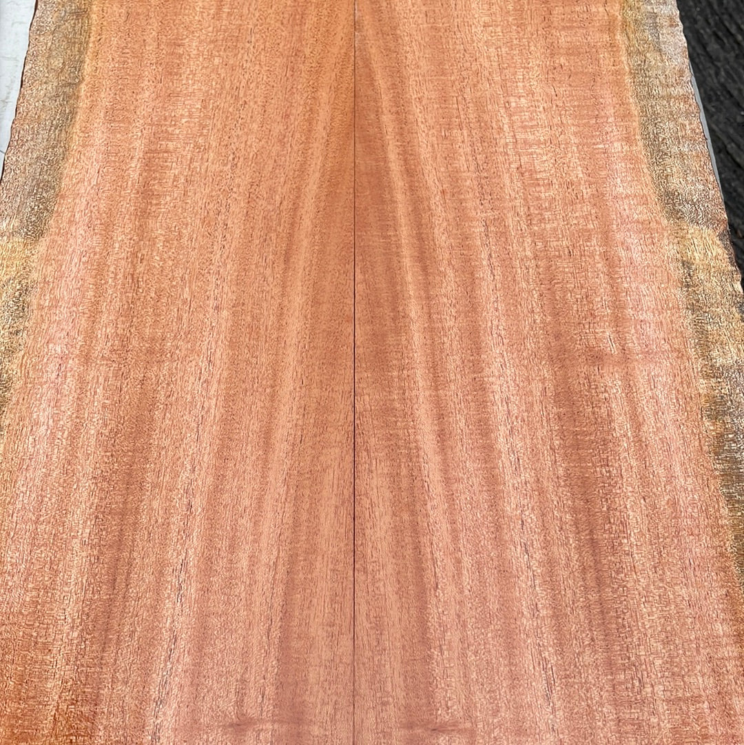 Curly Cuban Mahogany Tenor Ukulele 4pc