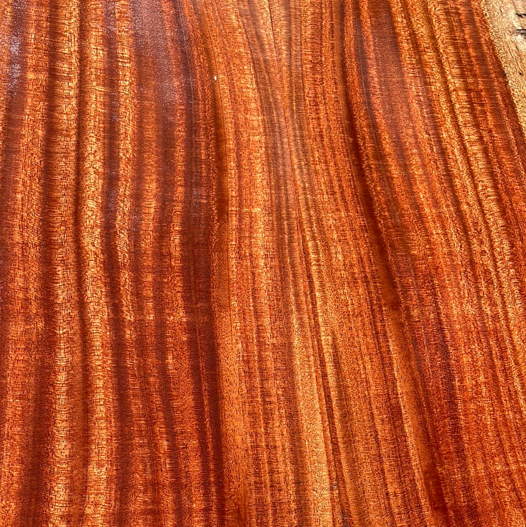 African Mahogany Jumbo Guitar 4pc set