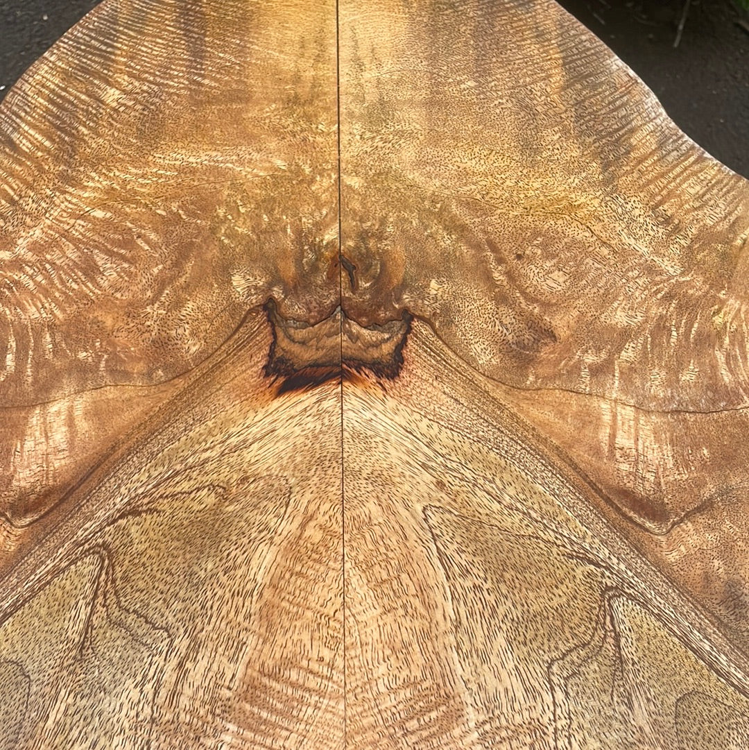 Curly Mango Electric Guitar Drop Top 2@34”x9 1/4”x11mm