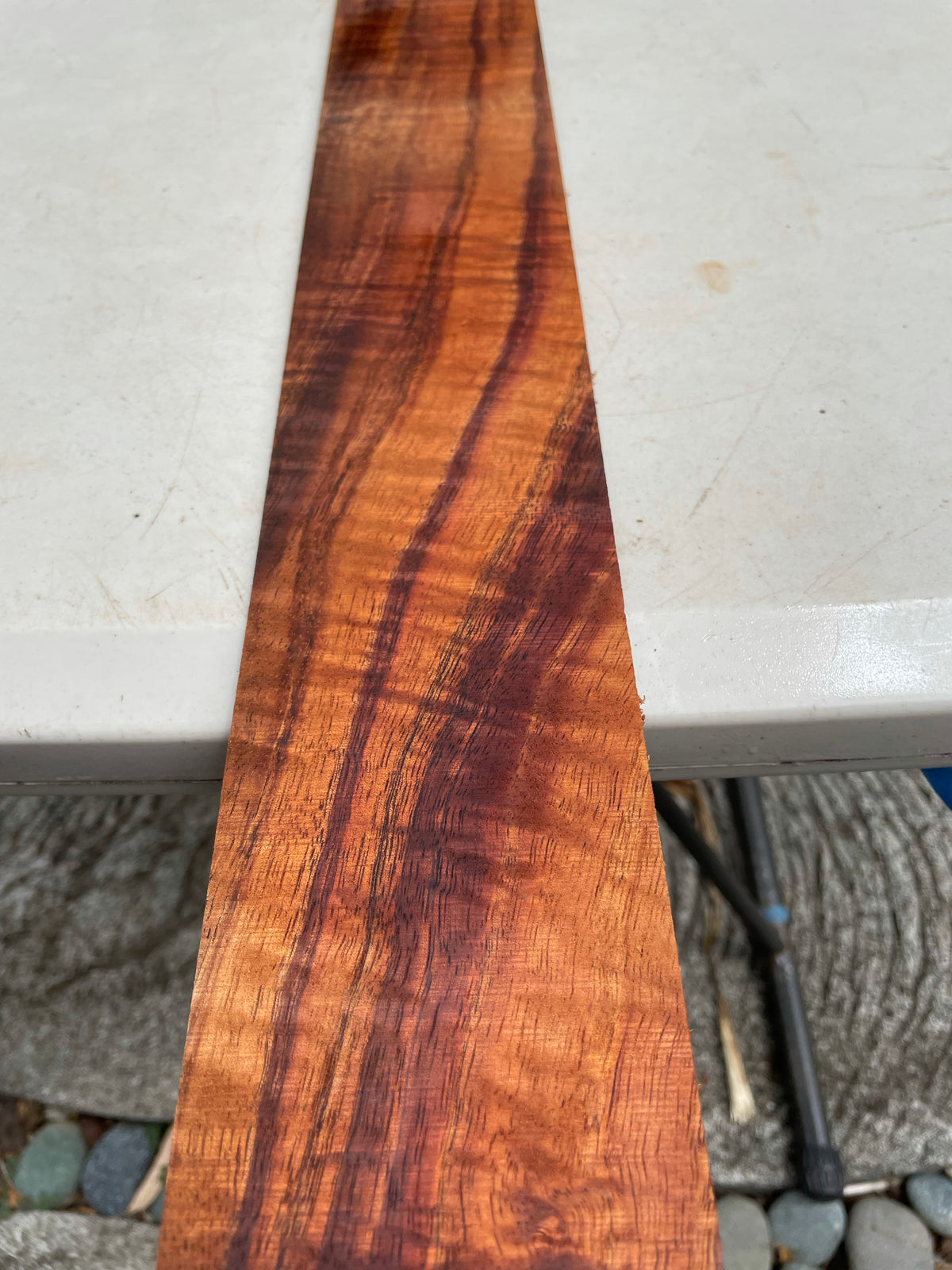 5A Curly Koa Instrument Binding 34 3/4”x3 1/4”x5mm