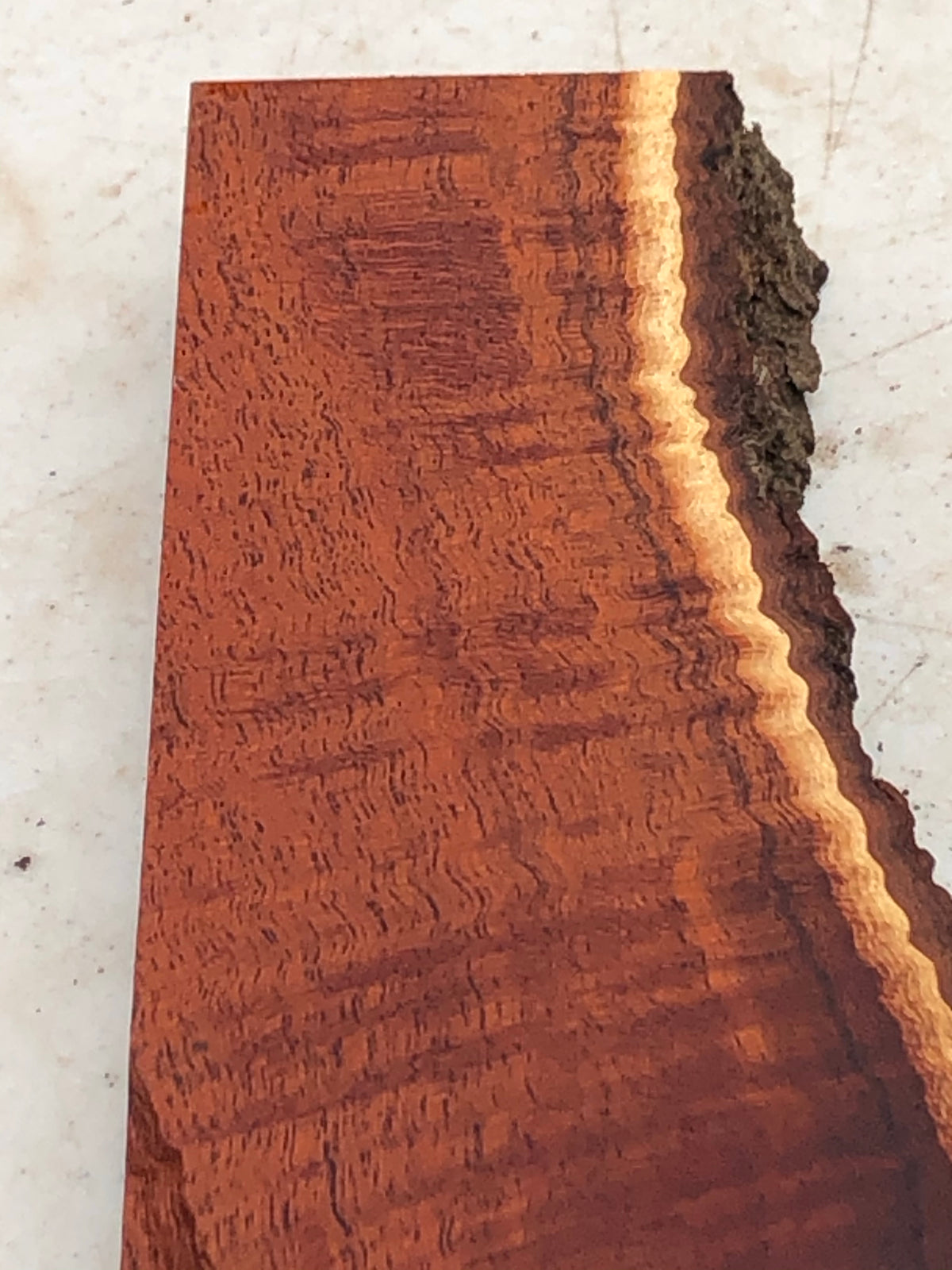 Curly Kiawe Knife Scale and handle 6”x1.5-3”c7/8”