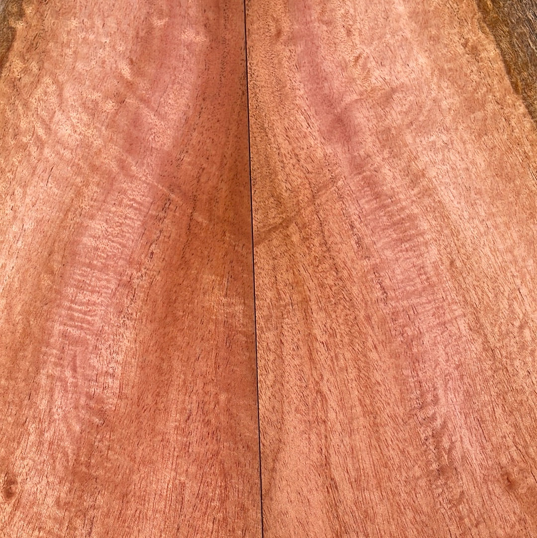 Cuban Mahogany 6pc Tenor Ukulele