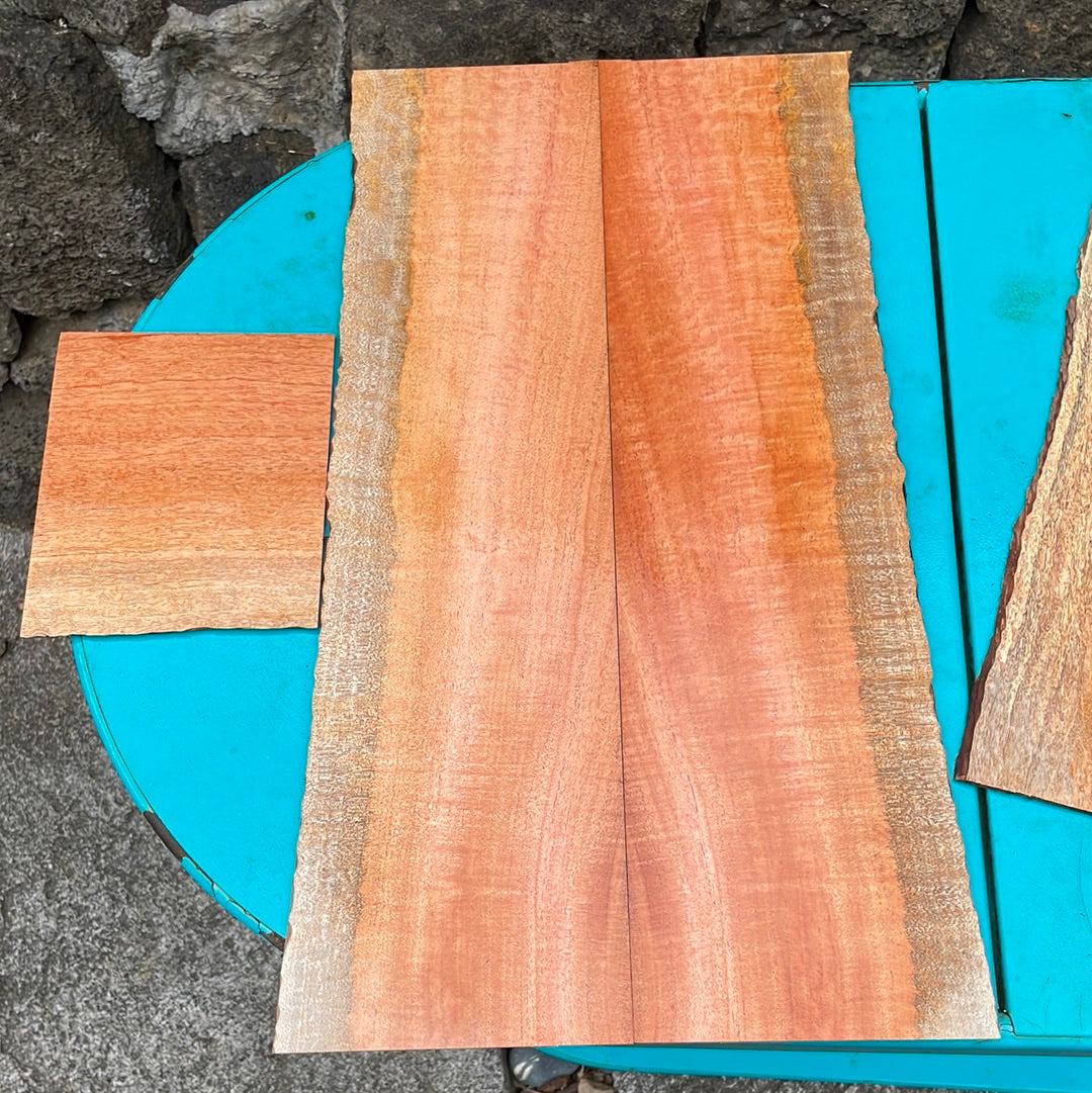 Curly Cuban Mahogany Tenor Ukulele 4pc