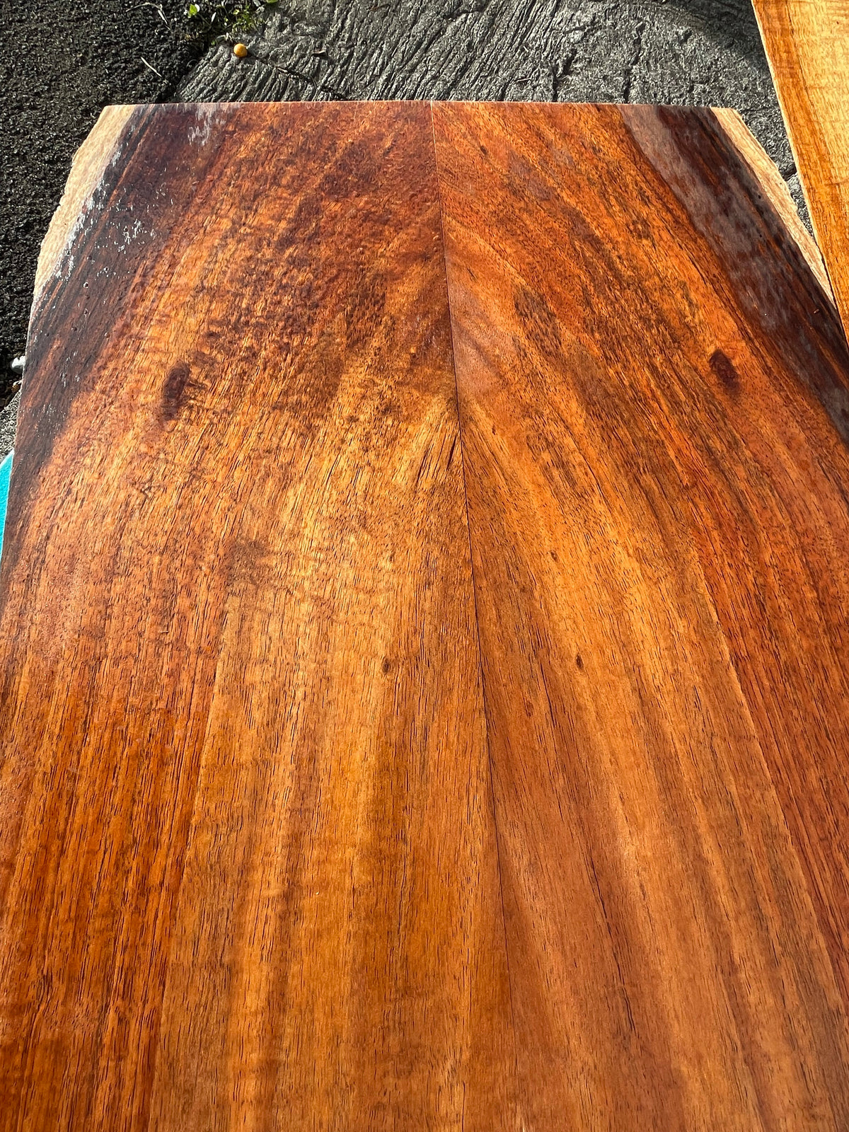 C1/OOO Classical guitar Curly Koa 5 piece set
