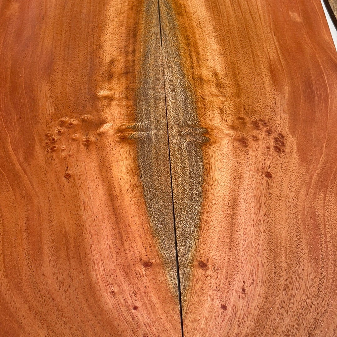Cuban Mahogany Concert Ukulele 4 pc set