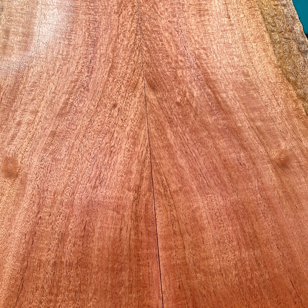 Curly Cuban Mahogany Tenor 6 pc Ukulele Set