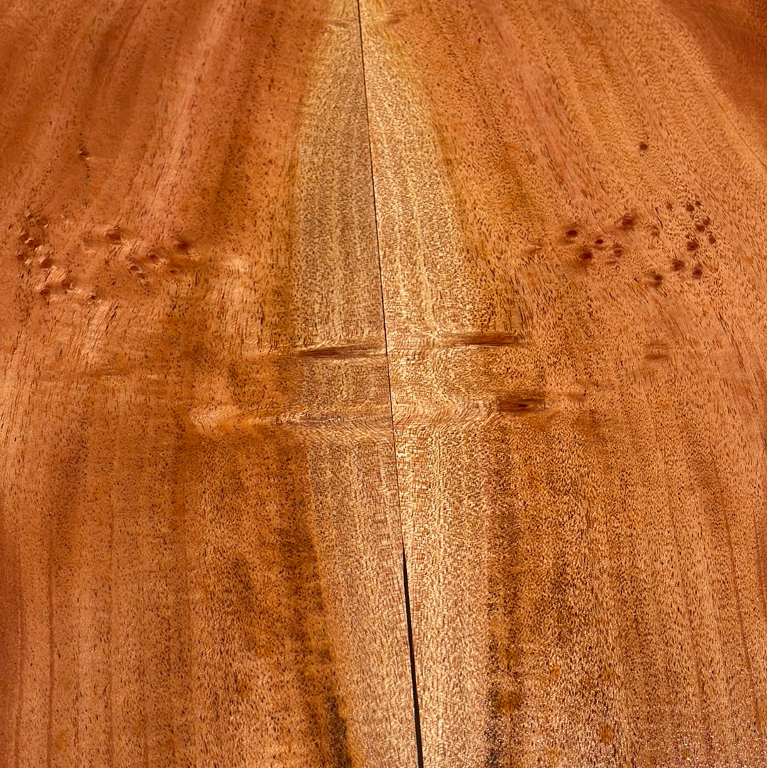 Cuban Mahogany Concert Ukulele 4 pc set