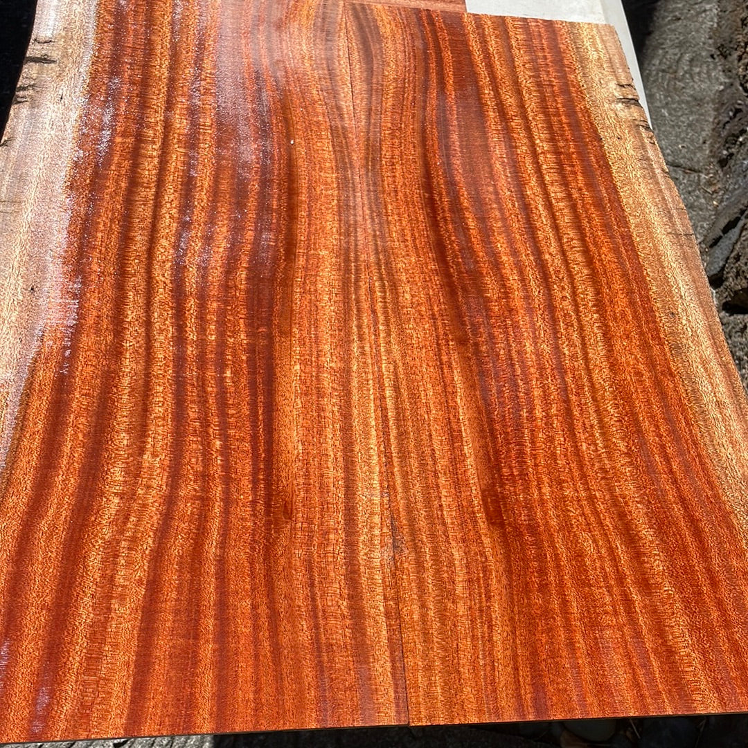 African Mahogany Jumbo Guitar 4pc set