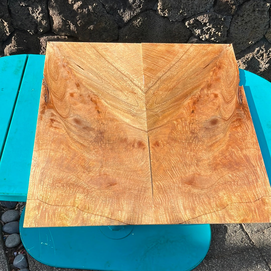 Curly Mango Electric Guitar Top