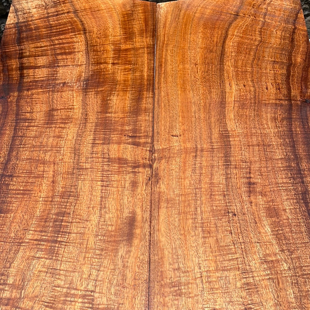 4A Curly Koa Jumbo Guitar 4 pc