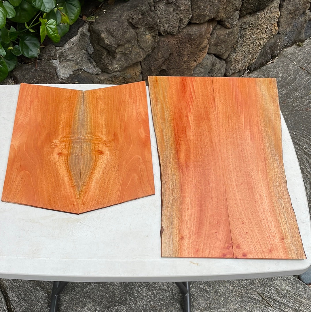 Cuban Mahogany Concert Ukulele 4 pc set