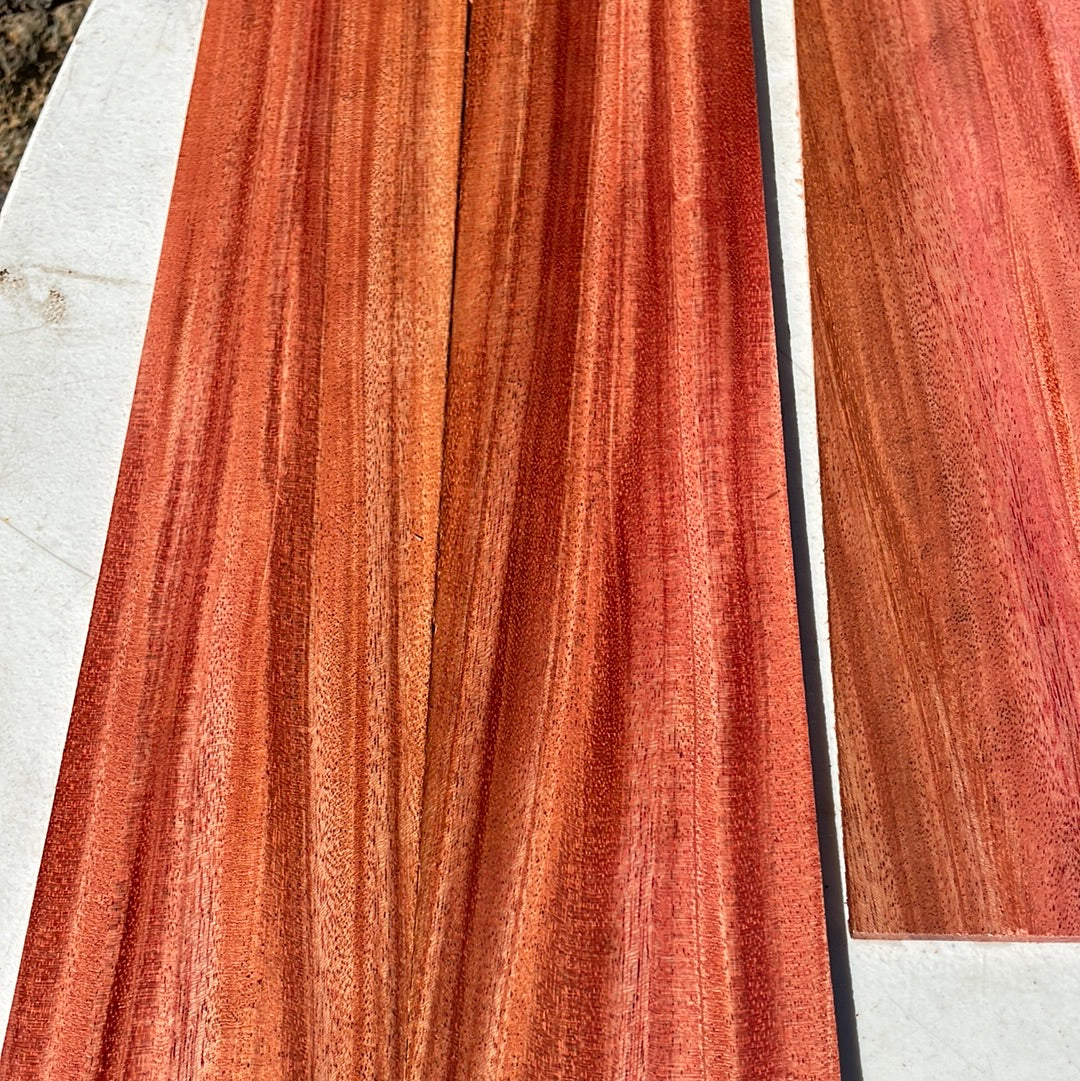 African Mahogany 4pc Tenor Ukulele set