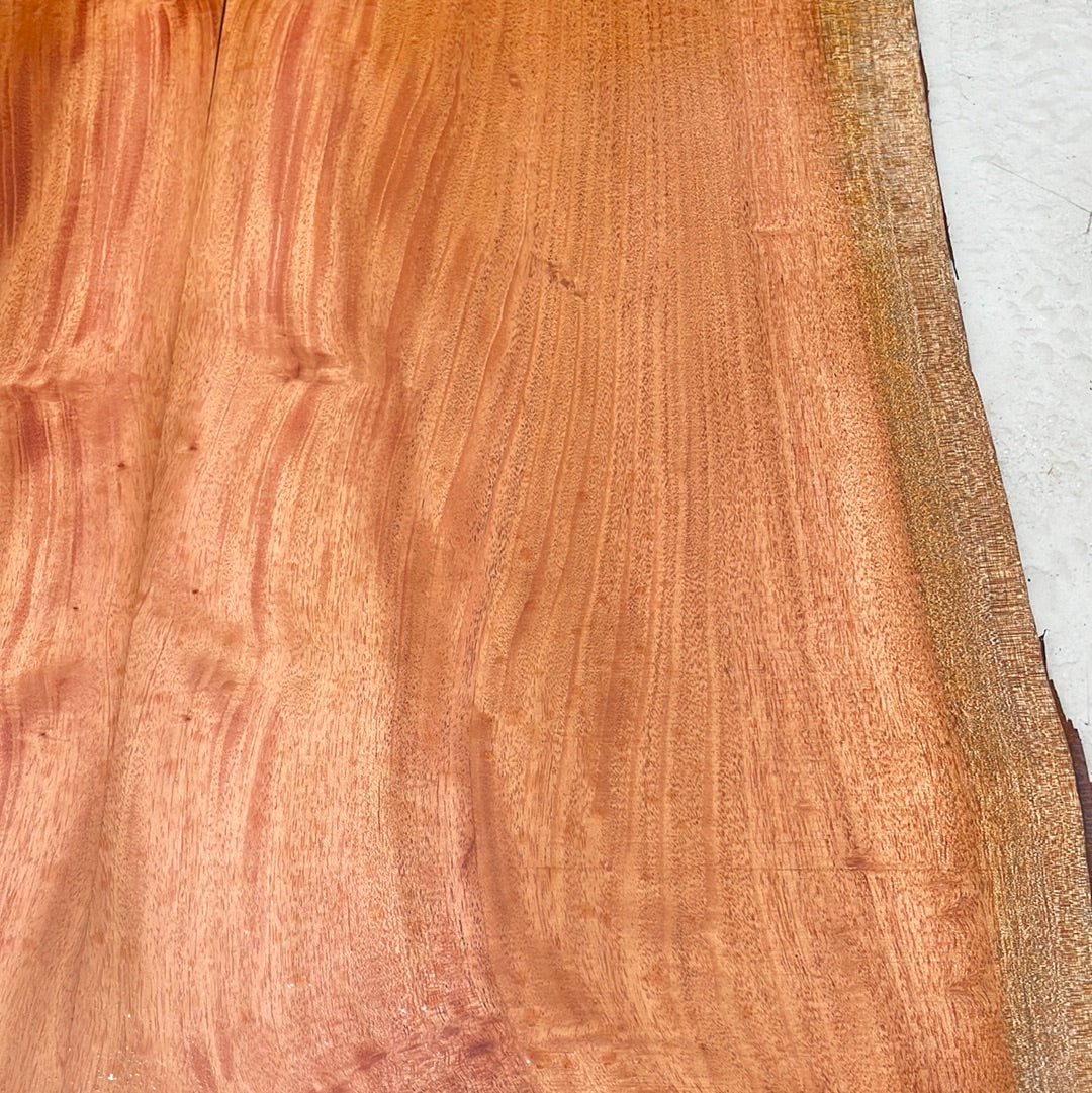 Cuban Mahogany Electric Guitar Top 2 pc