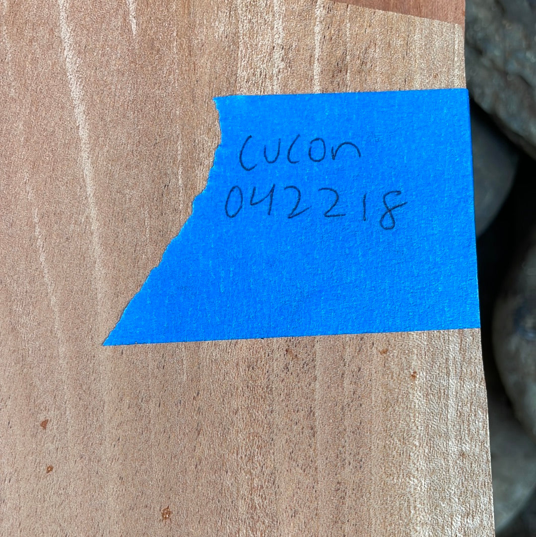Cuban Mahogany Concert Ukulele 4 pc set