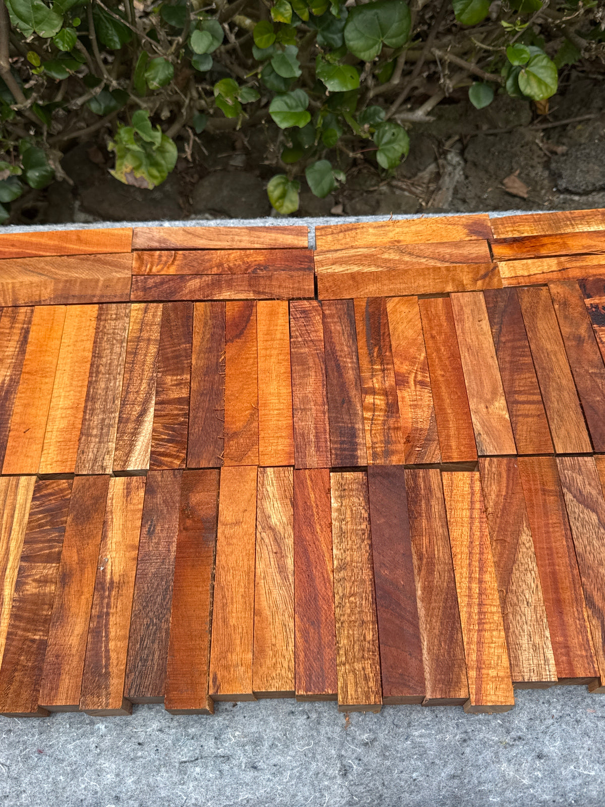 Curly Koa Pen Blanks 5@5.5”x1”x1”