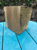 Hibiscus Blue Mahoe Bowl Blank 7.5”x7”x4.5-5.5”