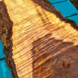 Curly Koa Live Edge 19.5”x10-14”x7/8”