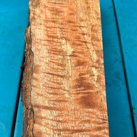 Premium Master Grade Curly Mango 14”x4-5”x2”