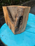Olive Wood Bowl Blank 10.5”x9.5”x3-5.5”