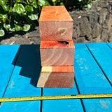 Aromatic Bermuda Cedar for craft 3@9.5-12 7/8”x2-3”x2”