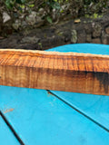 Curly Live Edge Koa slab 23.5”x4”x2”