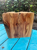 Sugi Bowl Turning Blank 10”x9.5”x5”